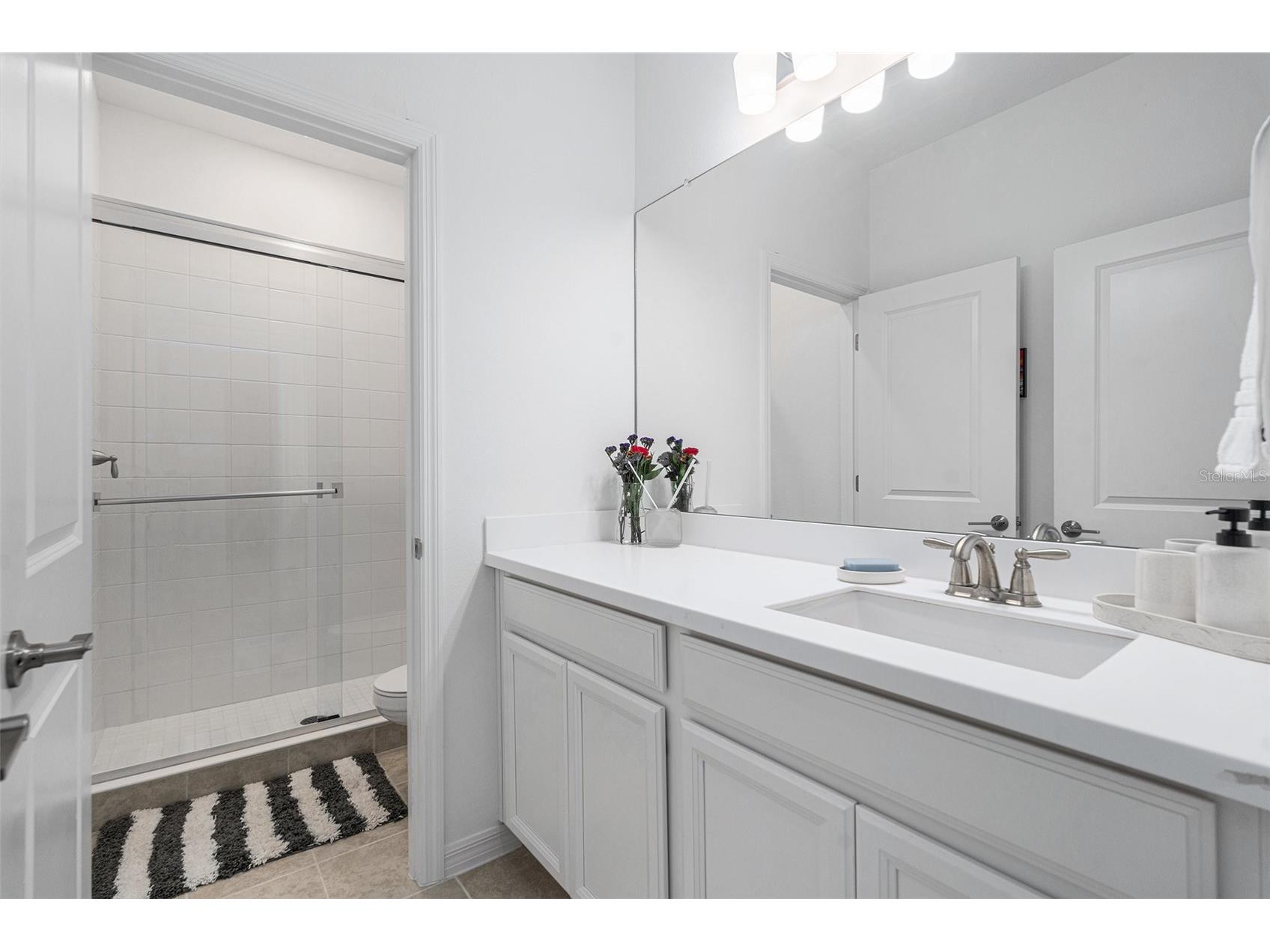 33774 Castaway Loop Wesley Chapel FL 33543 TB8516987 image57