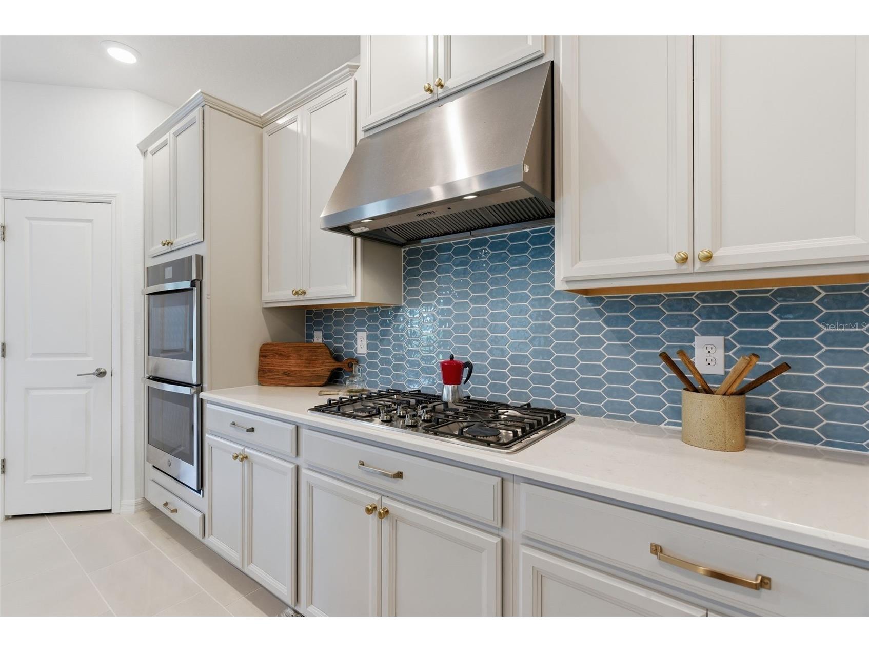 33774 Castaway Loop Wesley Chapel FL 33543 TB8516987 image7