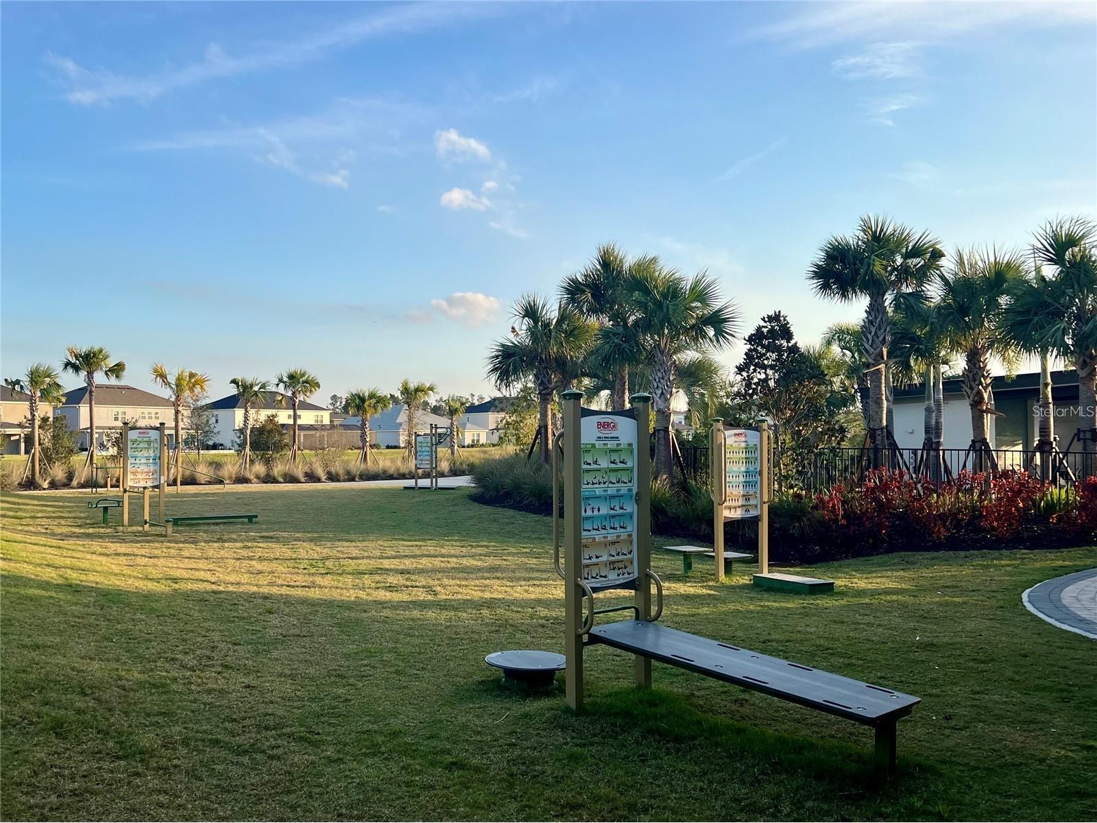 33774 Castaway Loop Wesley Chapel FL 33543 TB8516987 image83
