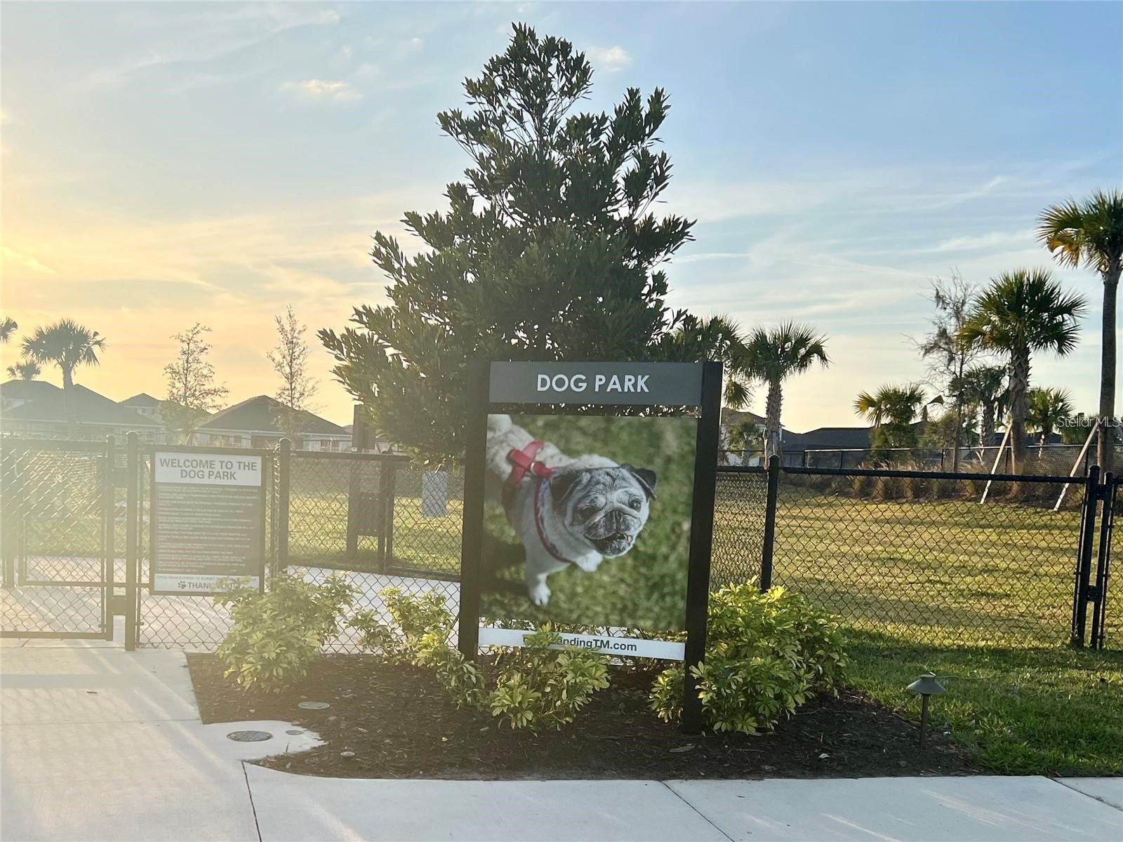 33774 Castaway Loop Wesley Chapel FL 33543 TB8516987 image85