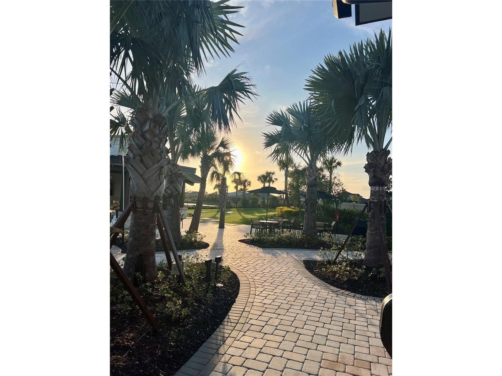 33774 Castaway Loop Wesley Chapel FL 33543 TB8516987 image86