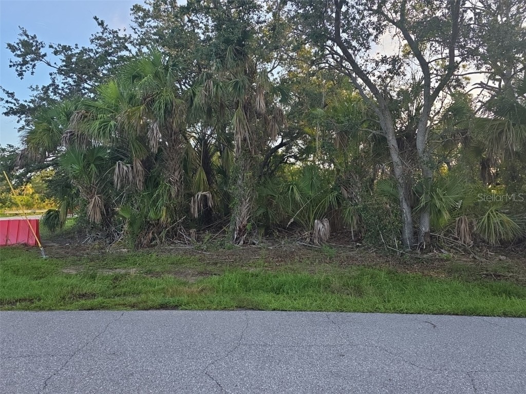 3378 Blitman Street Port Charlotte FL 33981 - BLITMAN WATERWAY D6142854 image1
