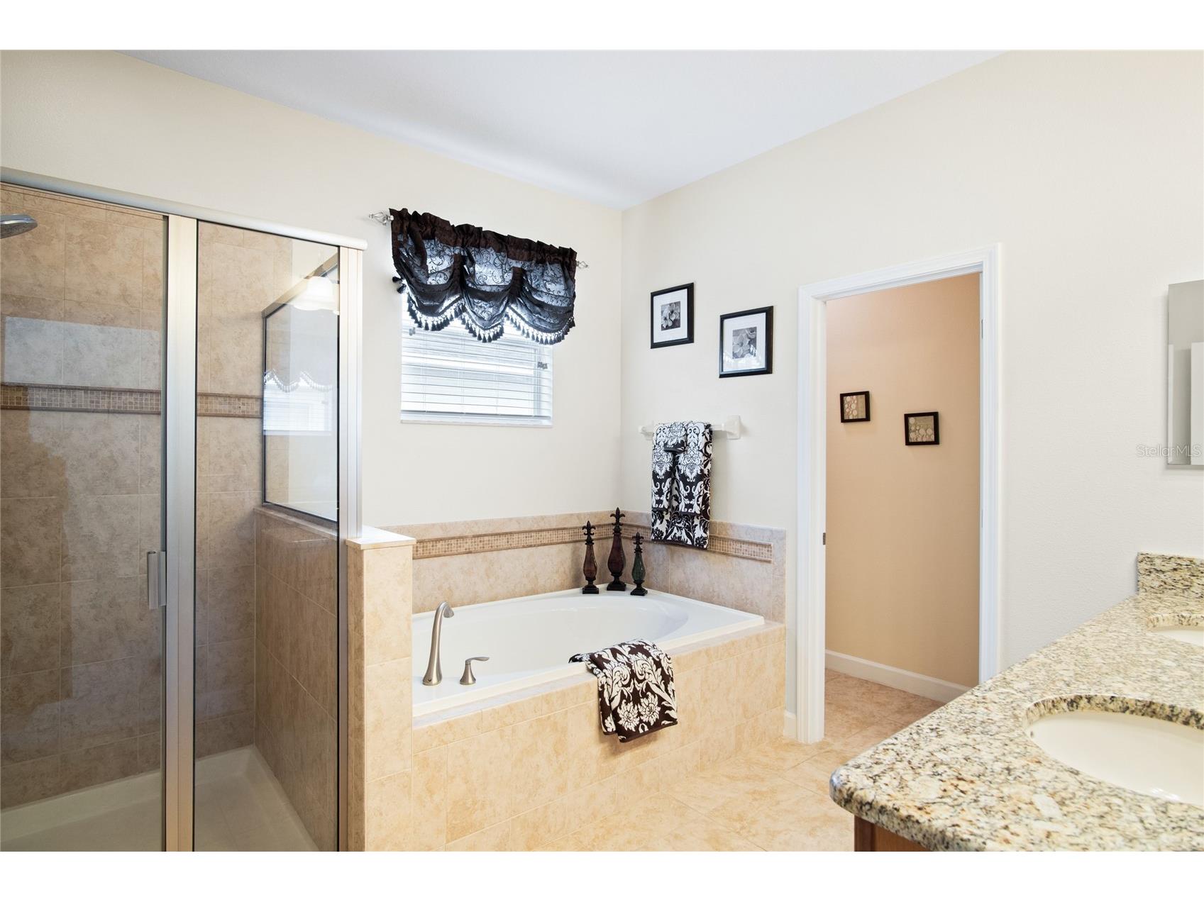 3378 Cortland Drive Davenport FL 33837 S5144841 image14