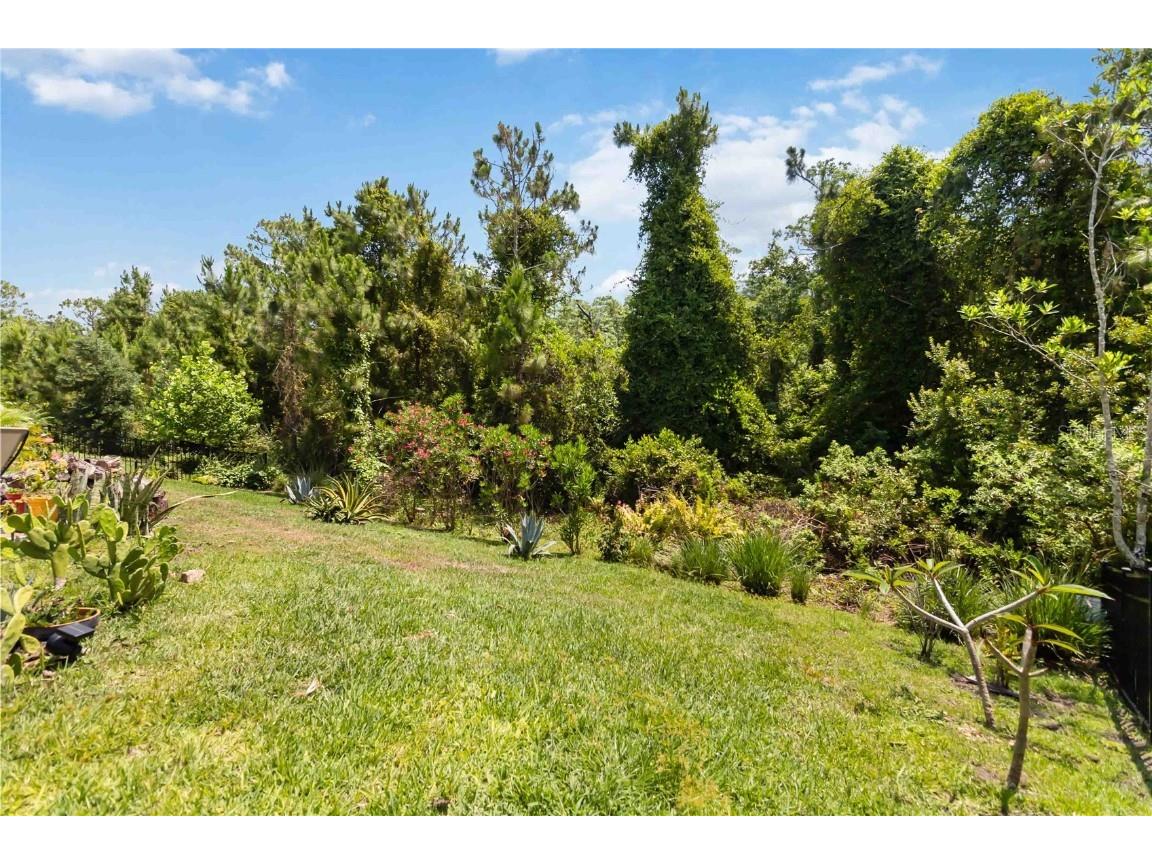 3378 Sagebrush Street Harmony FL 34773 S5126363 image43