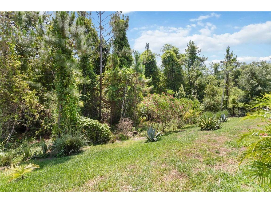 3378 Sagebrush Street Harmony FL 34773 S5126363 image44