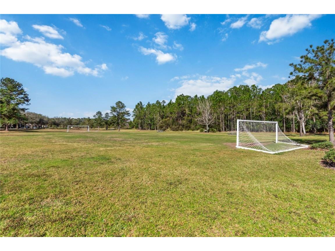 3378 Sagebrush Street Harmony FL 34773 S5126363 image50