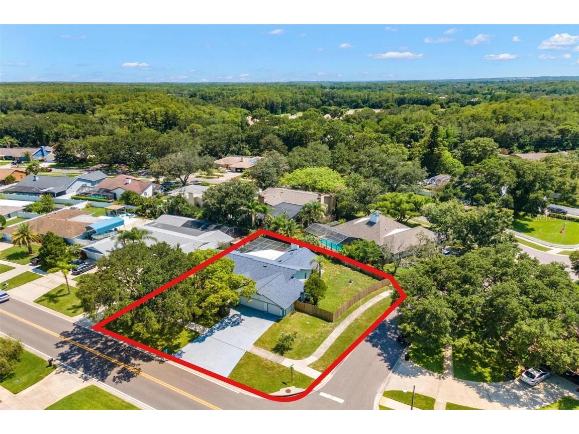 3378 Tarpon Woods Boulevard Palm Harbor FL 34685 U8209321 image1