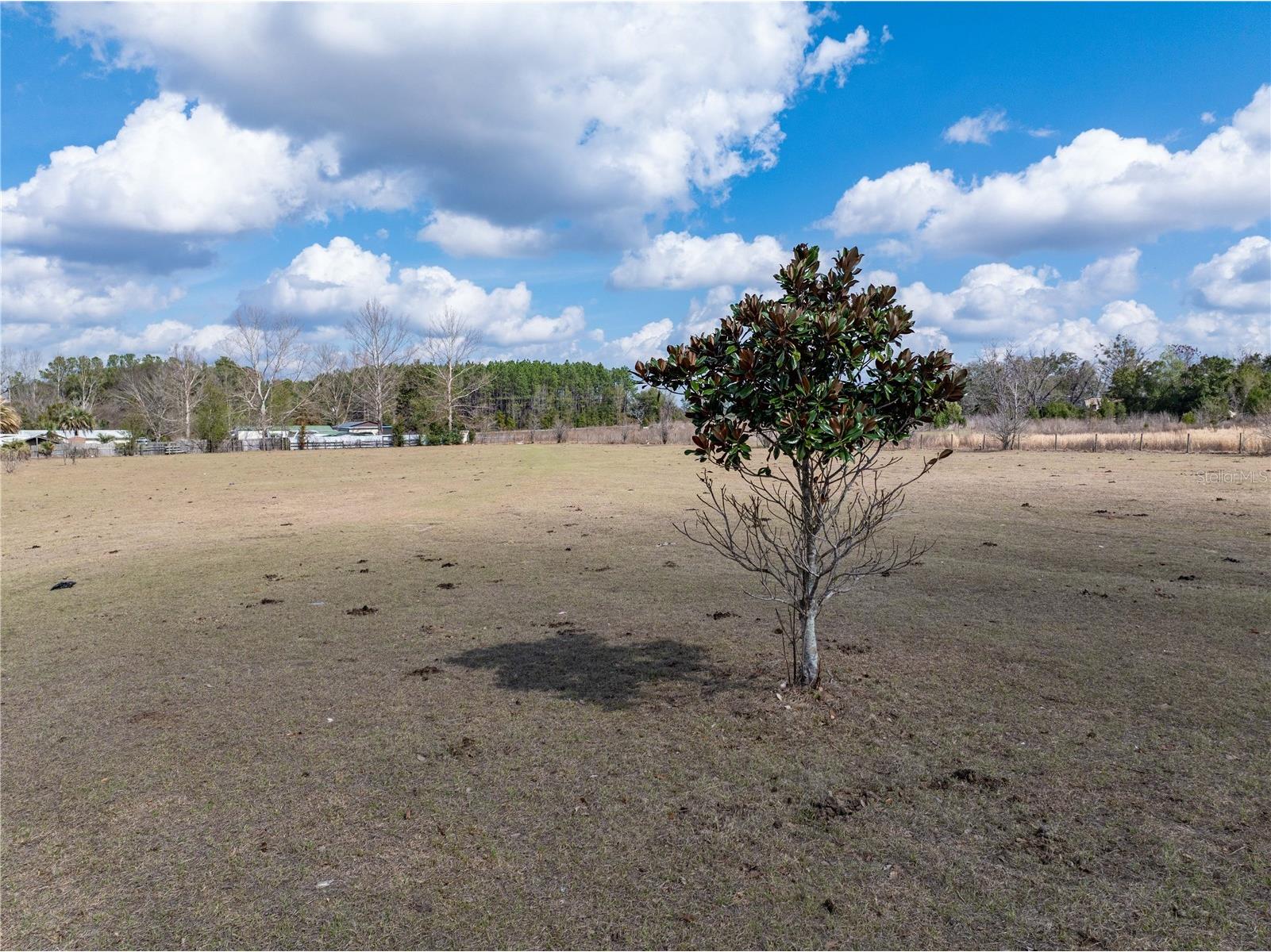 3378 W State Road 238 Lake Butler FL 32054 GC537845 image16