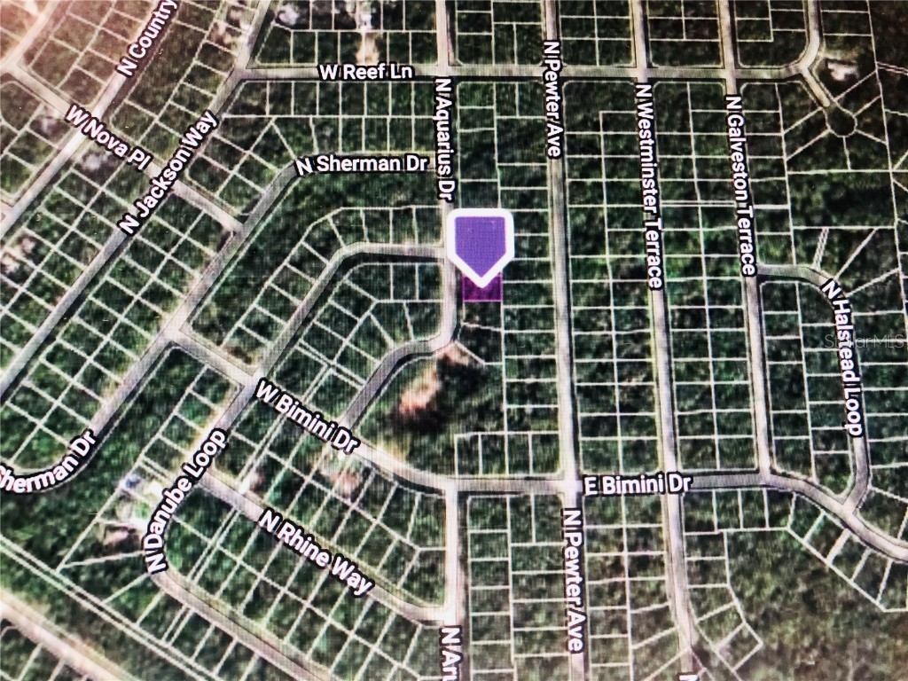 3379 N Aquarus Drive Citrus Springs FL 34434 OM626459 image3