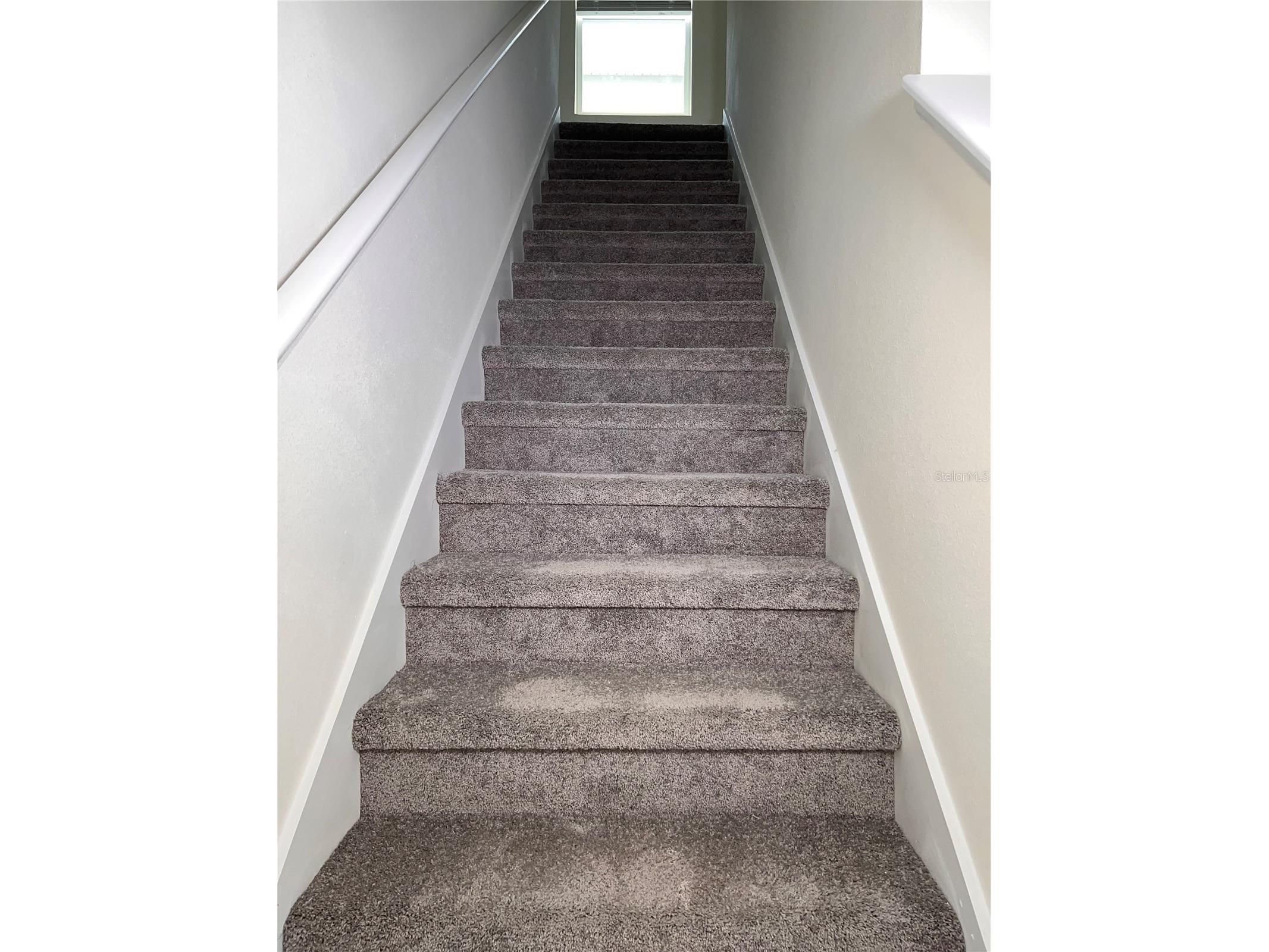 3379 Suncoast Plains Drive Odessa FL 33556 TB8492668 image22