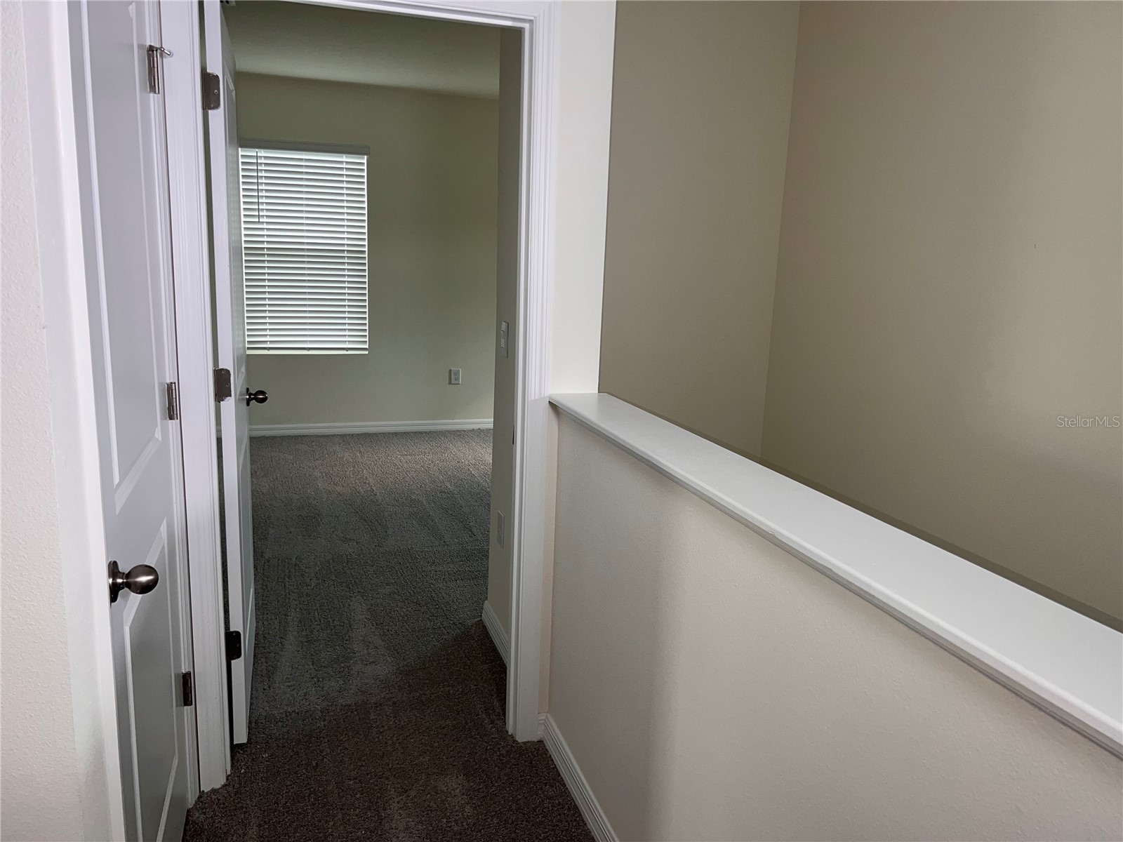 3379 Suncoast Plains Drive Odessa FL 33556 TB8492668 image24