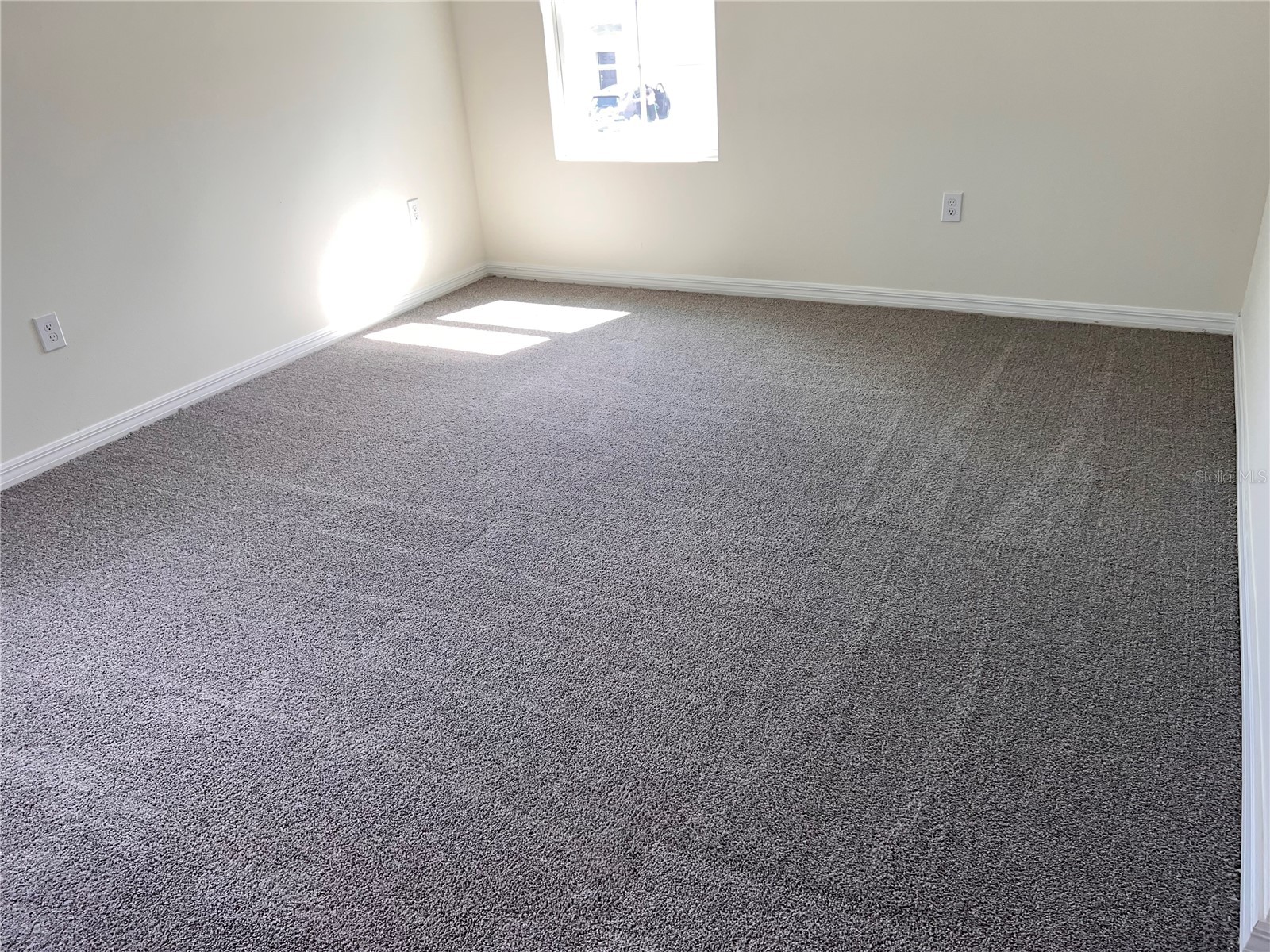 3379 Suncoast Plains Drive Odessa FL 33556 TB8492668 image27