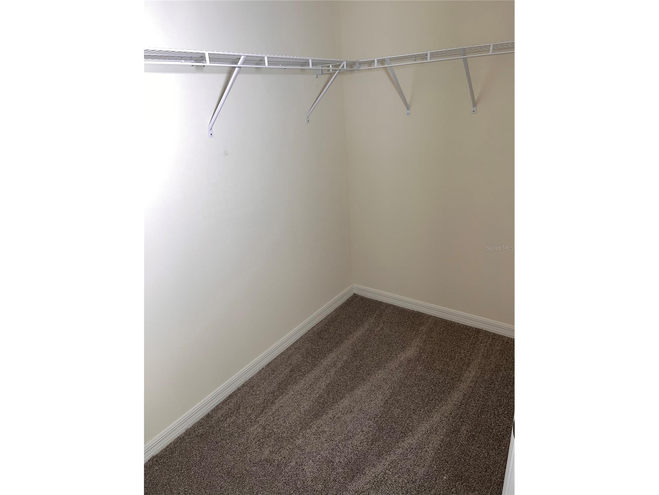 3379 Suncoast Plains Drive Odessa FL 33556 TB8492668 image32