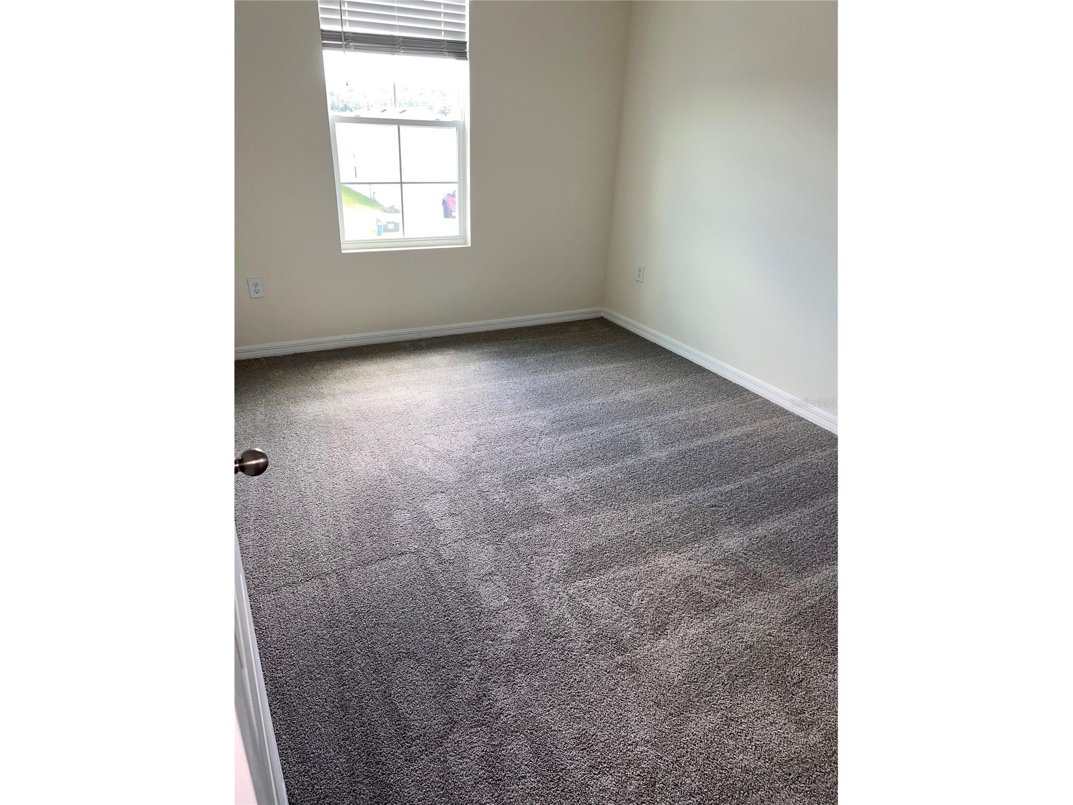 3379 Suncoast Plains Drive Odessa FL 33556 TB8492668 image47