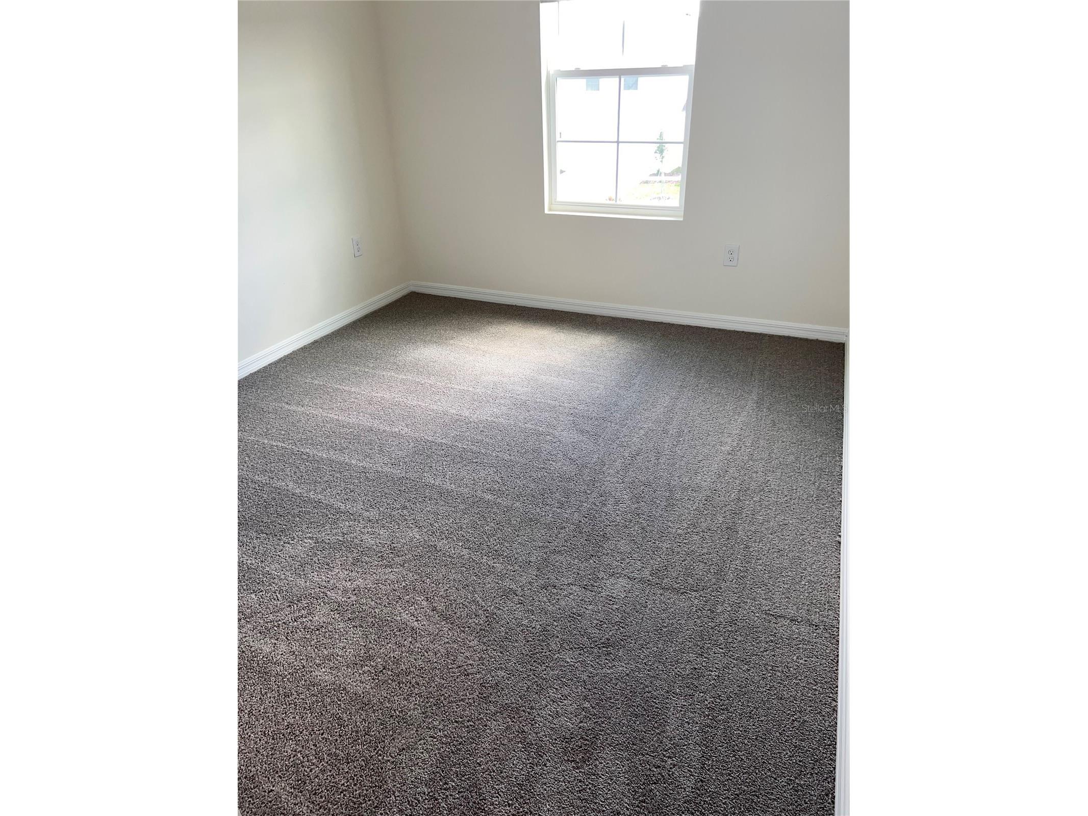 3379 Suncoast Plains Drive Odessa FL 33556 TB8492668 image48