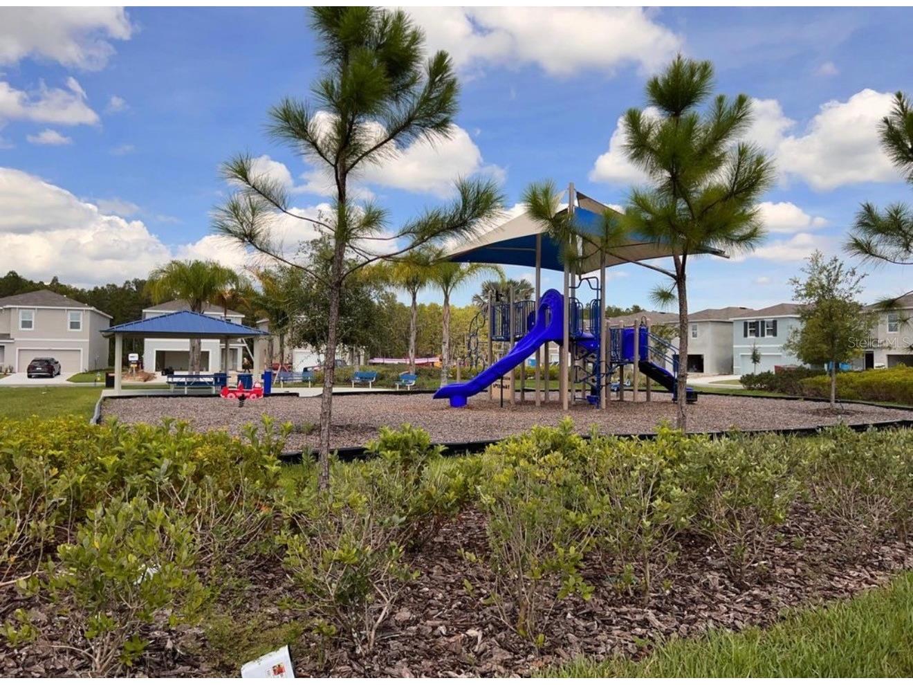 3379 Suncoast Plains Drive Odessa FL 33556 TB8492668 image5