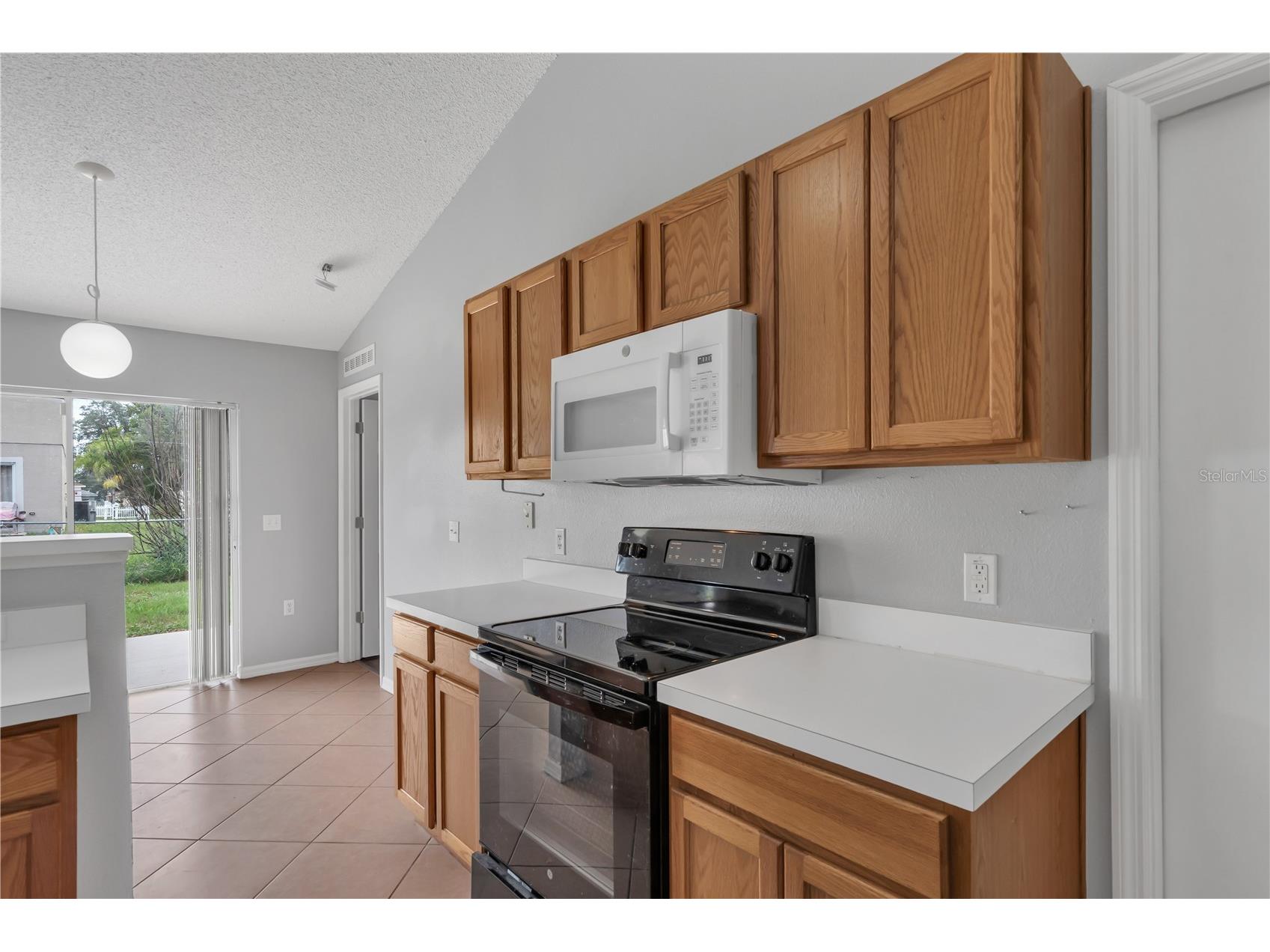 338 Erie Drive Kissimmee FL 34759 O6413314 image20