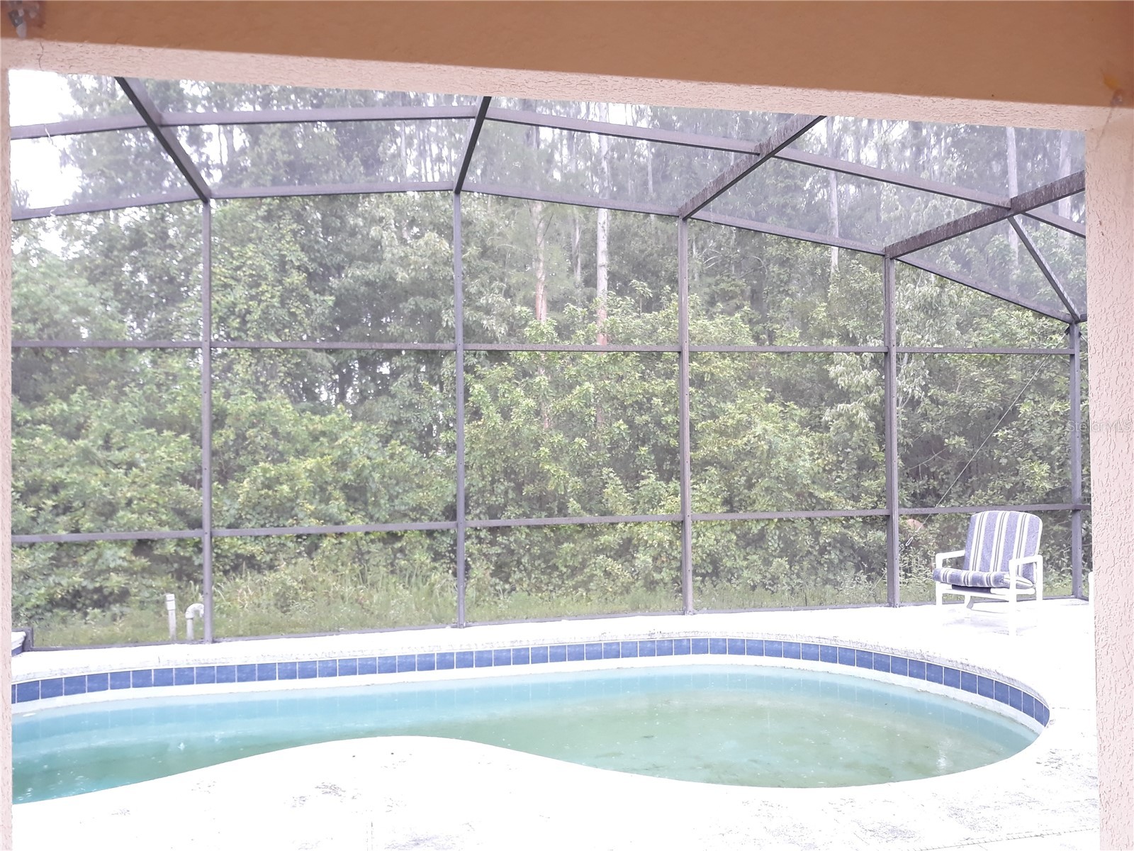 338 Magical Way Kissimmee FL 34744 O6405252 image15