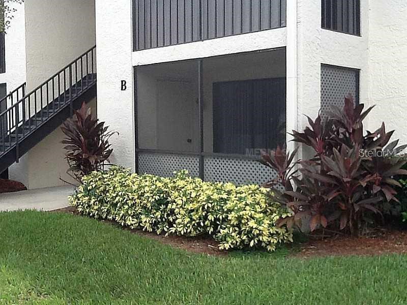 3380 Crystal Court E #B Palm Harbor FL 34685 TB8514972 image1