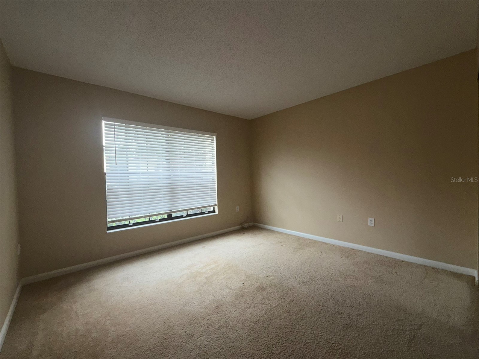 3380 Crystal Court E #B Palm Harbor FL 34685 TB8514972 image11