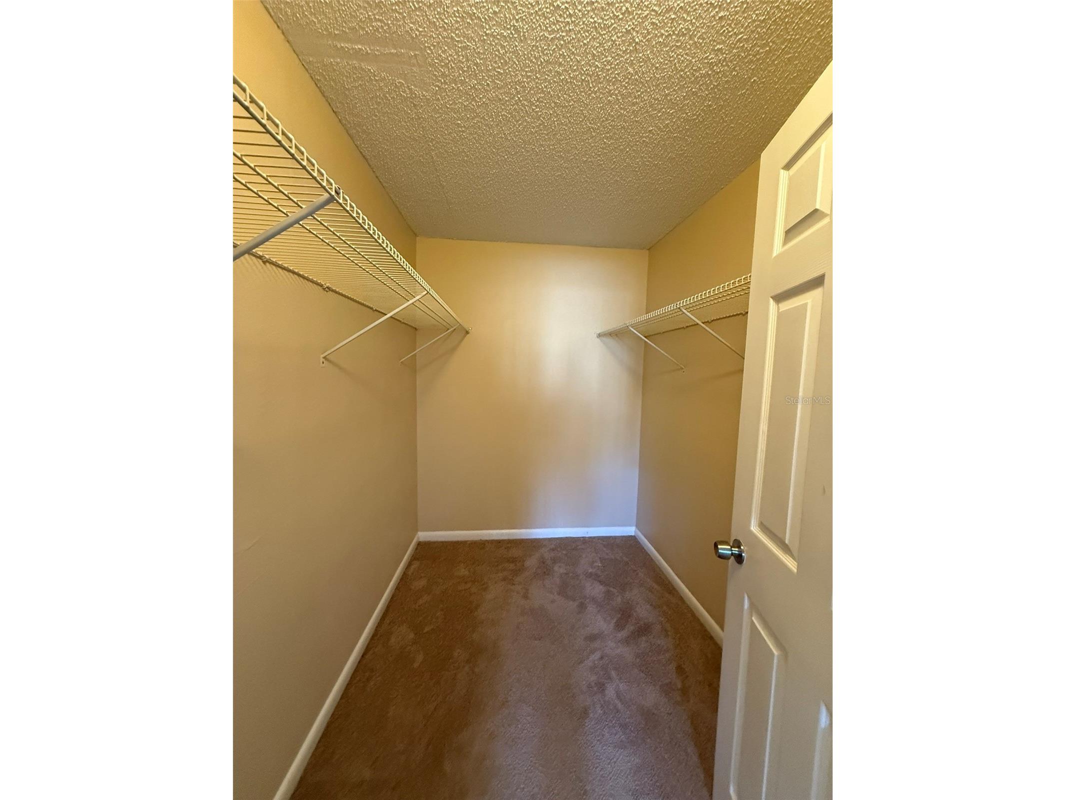 3380 Crystal Court E #B Palm Harbor FL 34685 TB8514972 image13