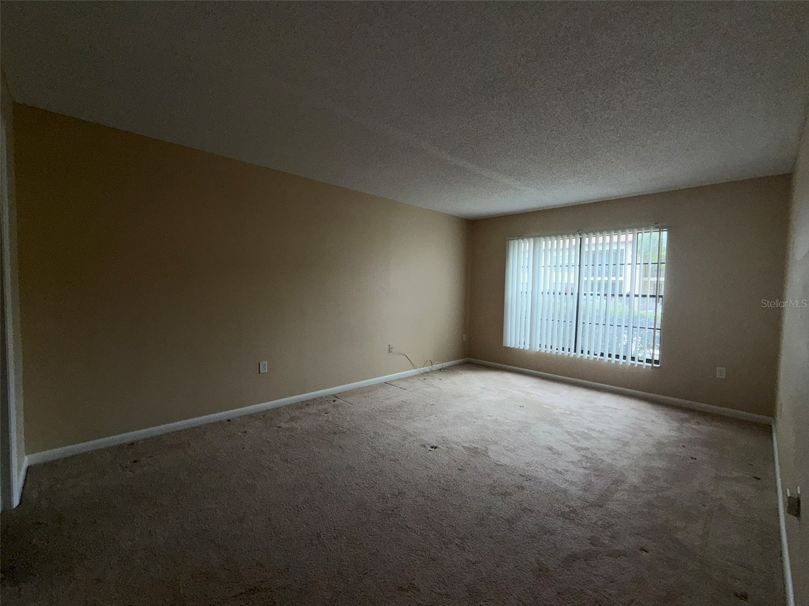 3380 Crystal Court E #B Palm Harbor FL 34685 TB8514972 image14