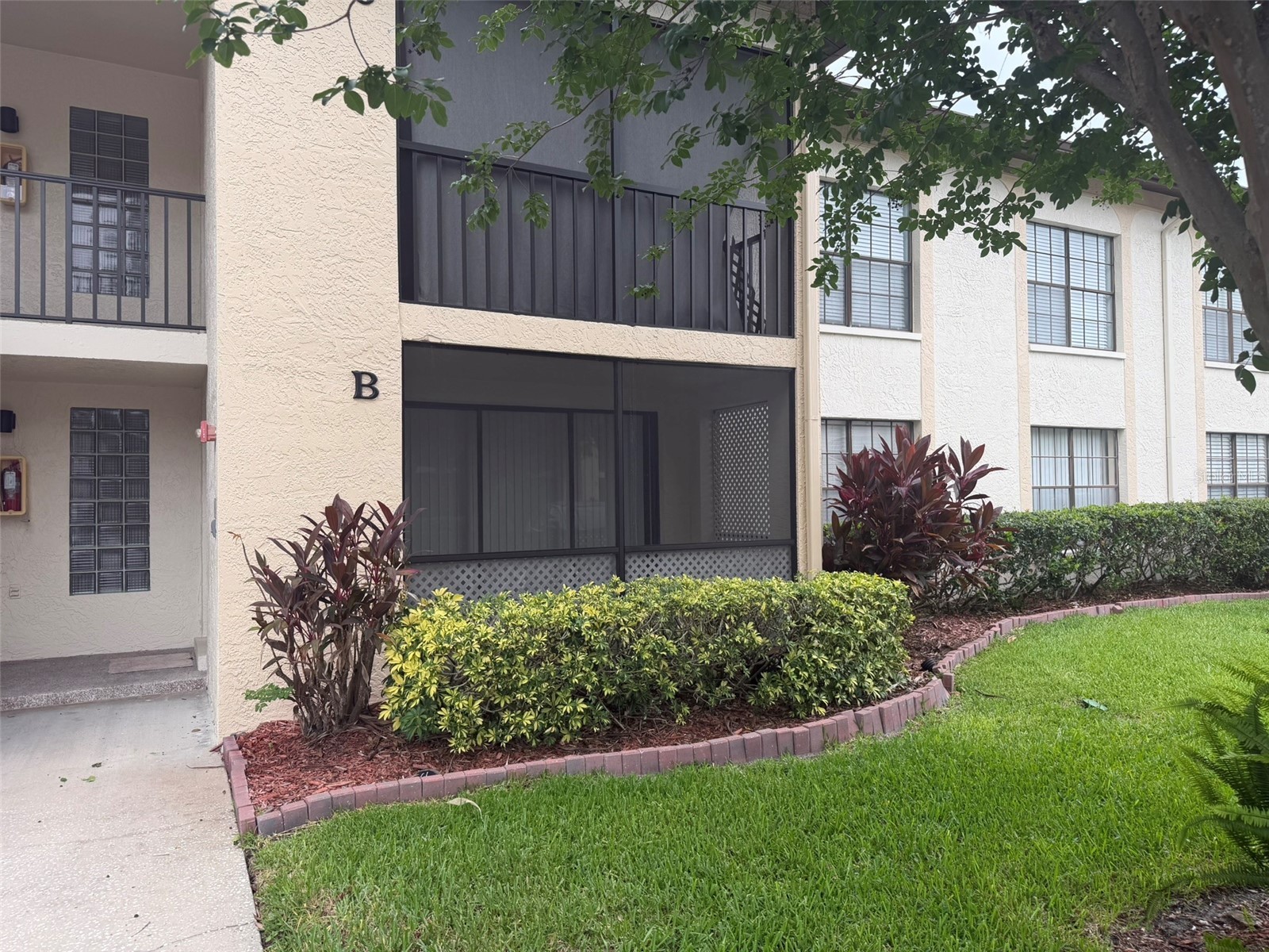 3380 Crystal Court E #B Palm Harbor FL 34685 TB8514972 image2