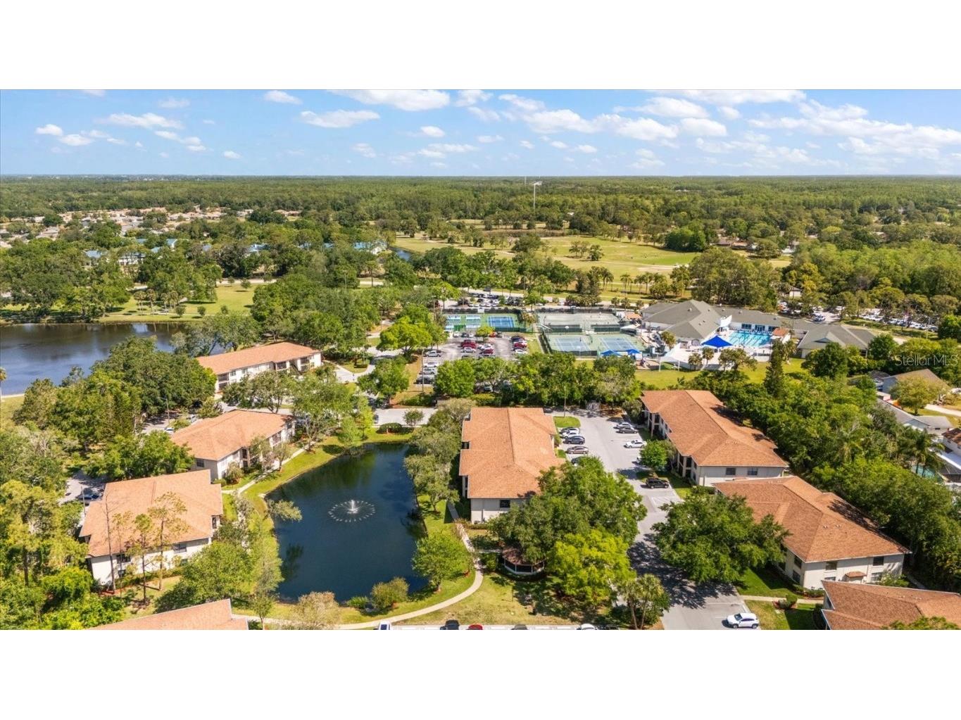 3380 Crystal Court E #G Palm Harbor FL 34685 TB8369921 image1
