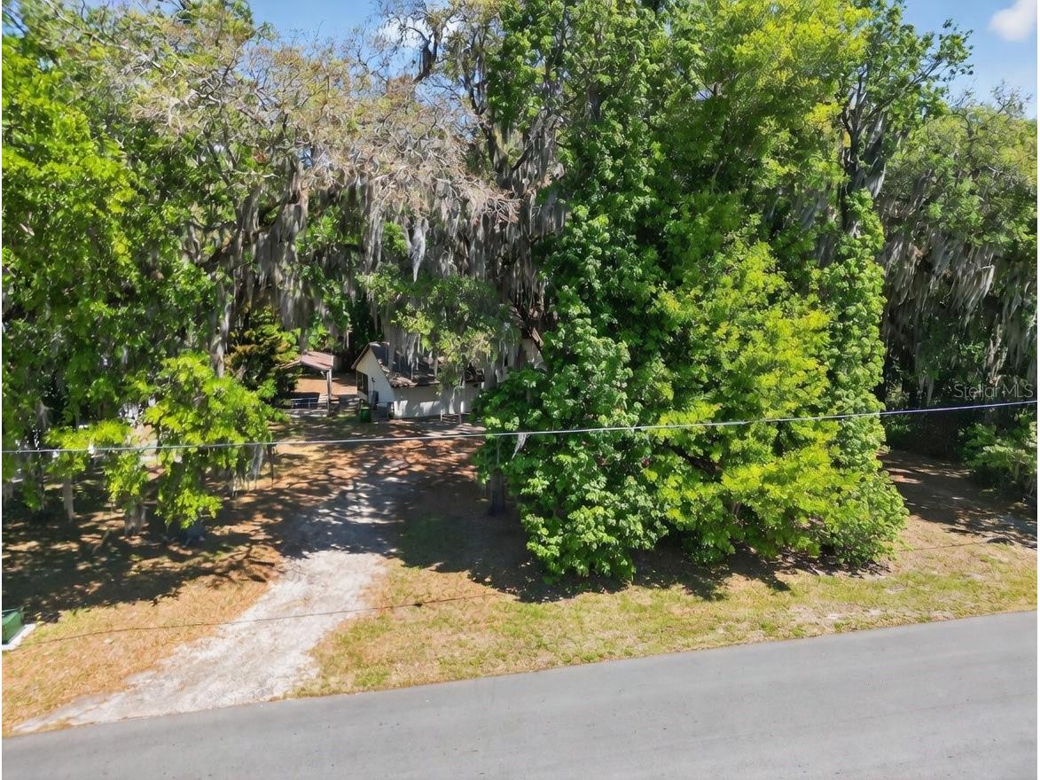3380 Lionel Road Mims FL 32754 V4948071 image43
