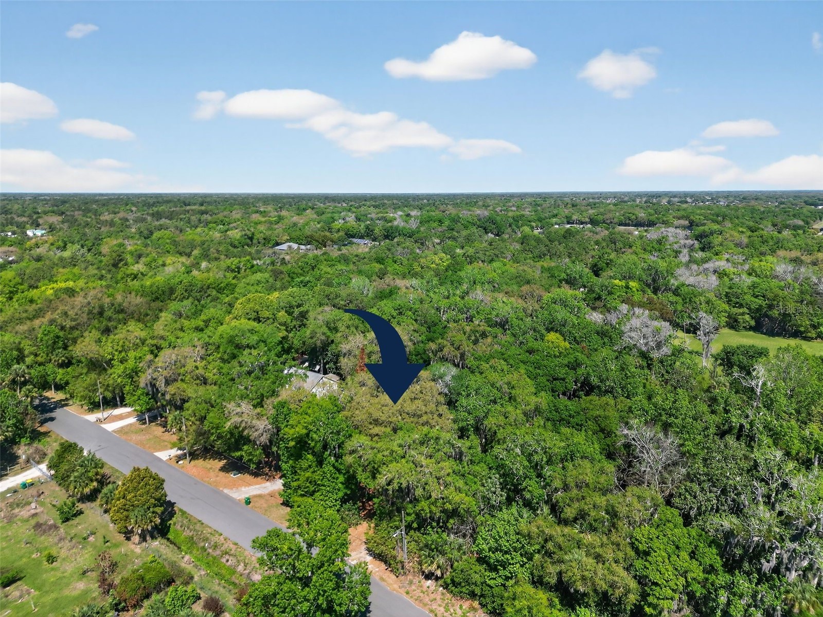 3380 Lionel Road Mims FL 32754 V4948071 image44