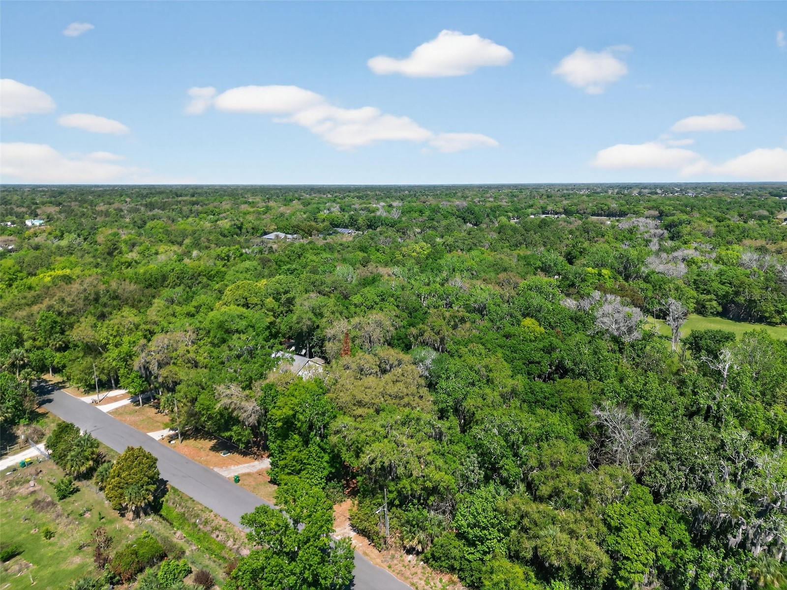3380 Lionel Road Mims FL 32754 V4948071 image45