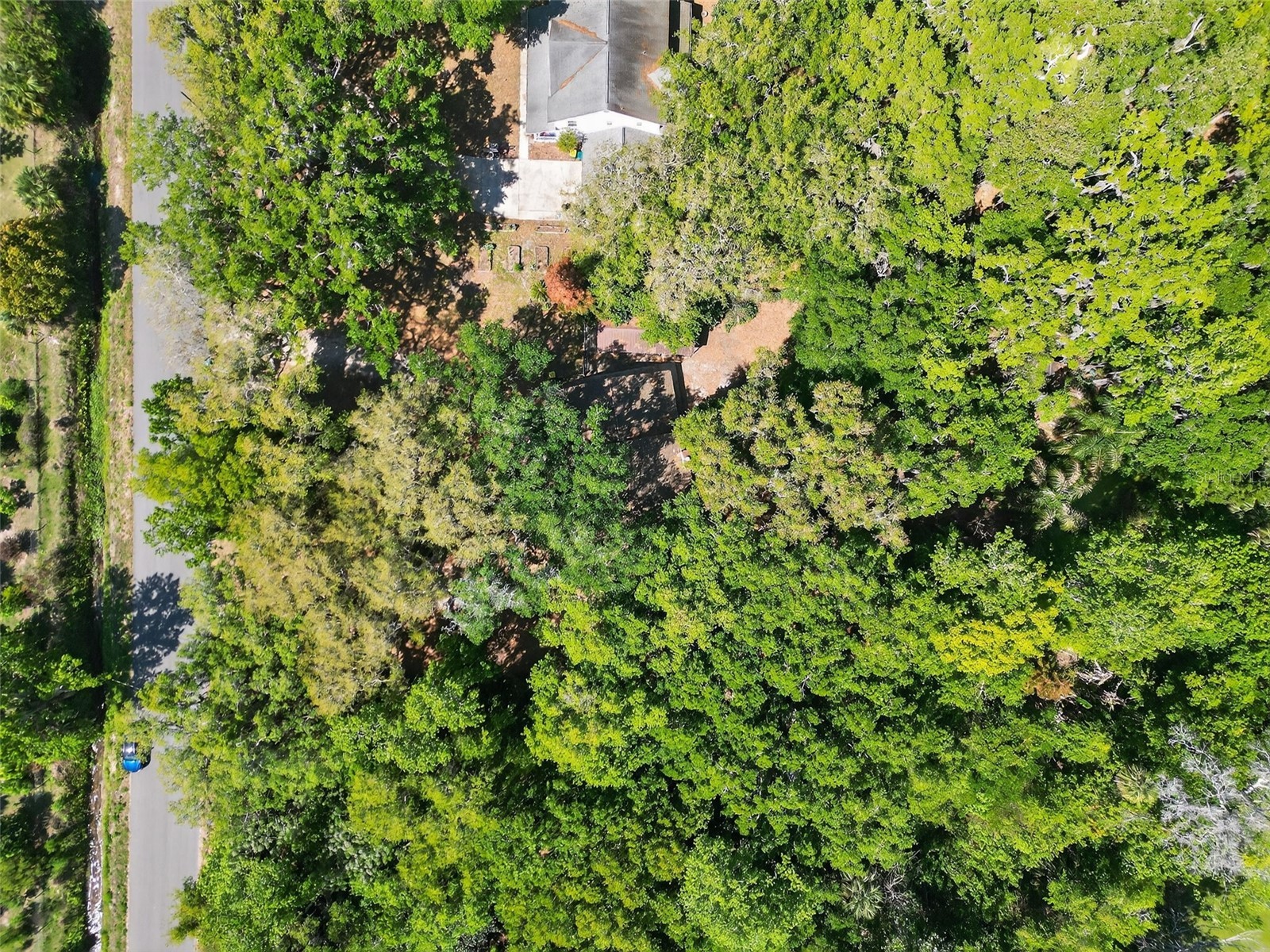 3380 Lionel Road Mims FL 32754 V4948071 image47