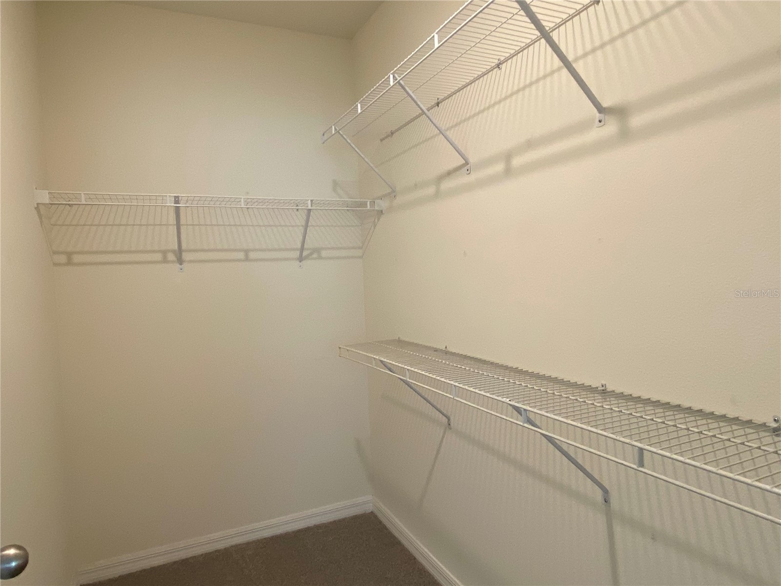 33801 Jasmine Star Loop Wesley Chapel FL 33543 TB8493076 image14