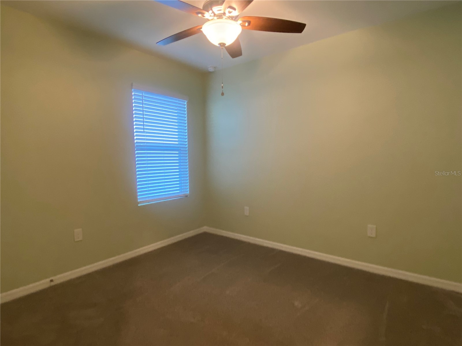 33801 Jasmine Star Loop Wesley Chapel FL 33543 TB8493076 image18