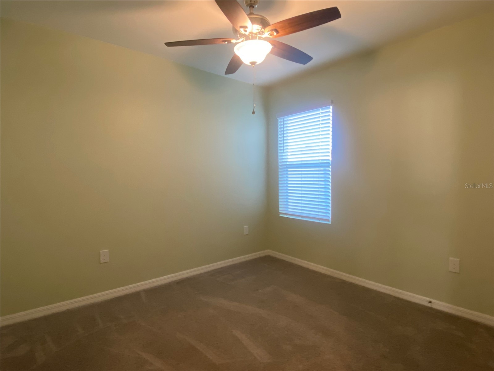 33801 Jasmine Star Loop Wesley Chapel FL 33543 TB8493076 image19