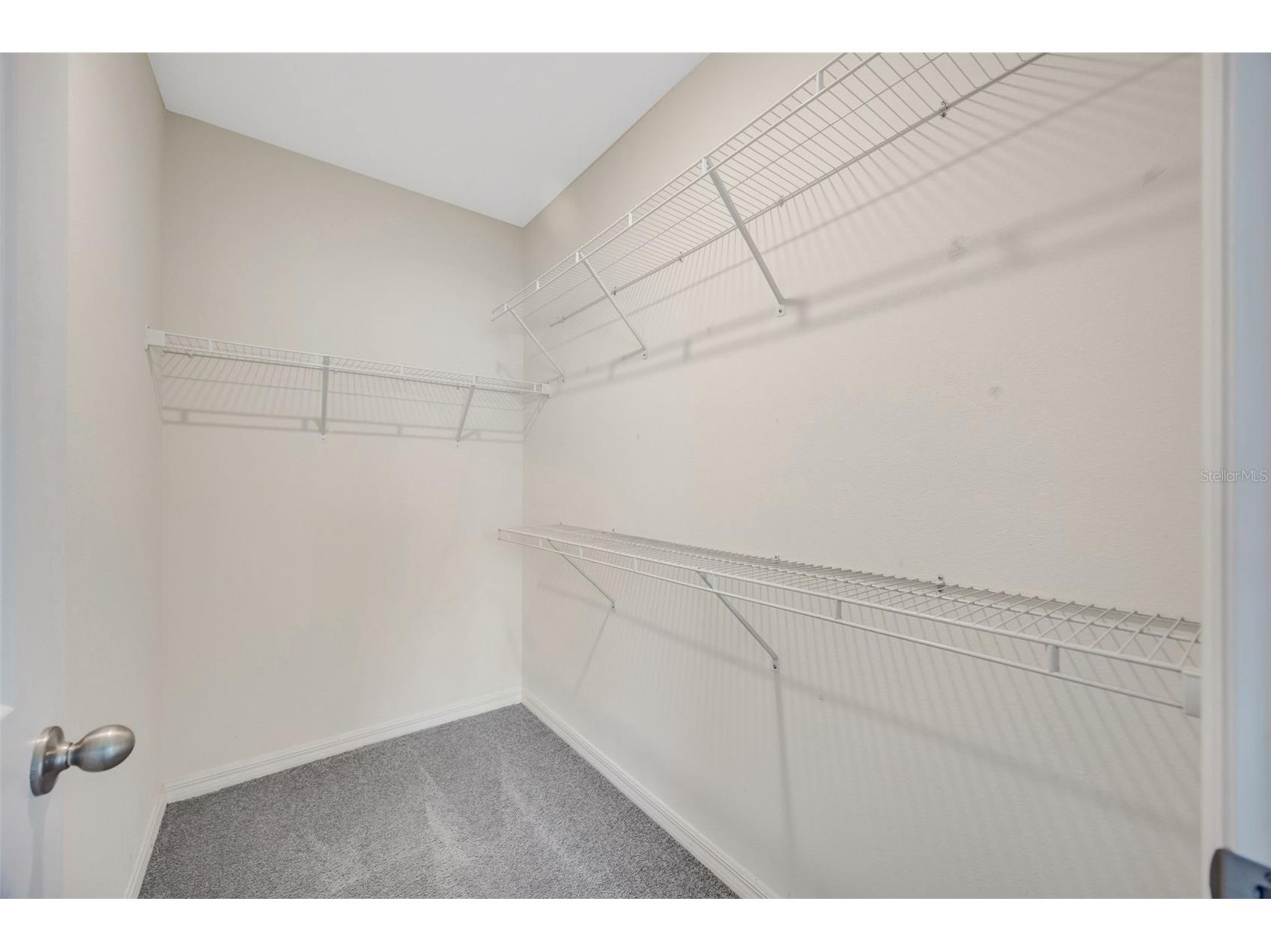 33801 Jasmine Star Loop Wesley Chapel FL 33543 TB8518487 image22