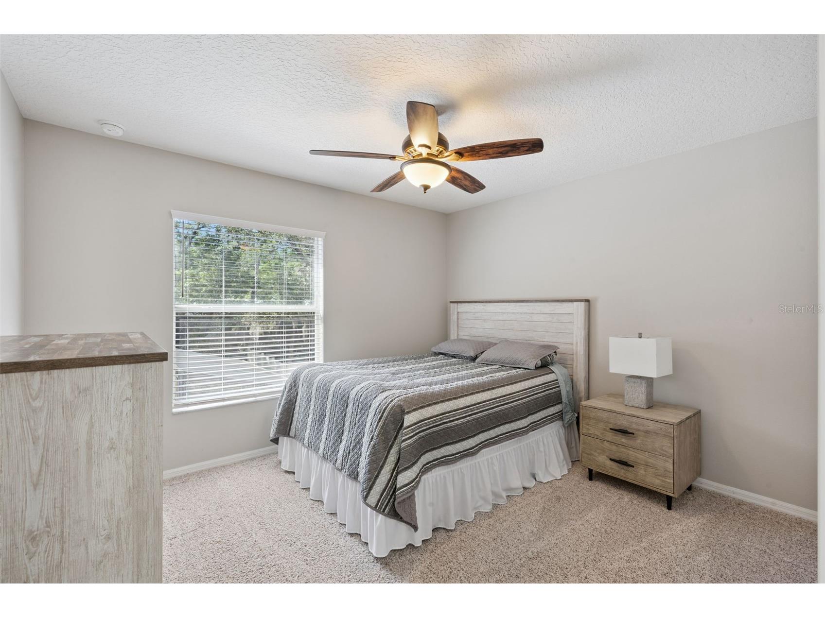 33804 Terragona Drive Sorrento FL 32776 G5112652 image22