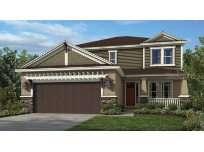 33805 Astoria Circle Wesley Chapel FL 33545 A4578237 image1