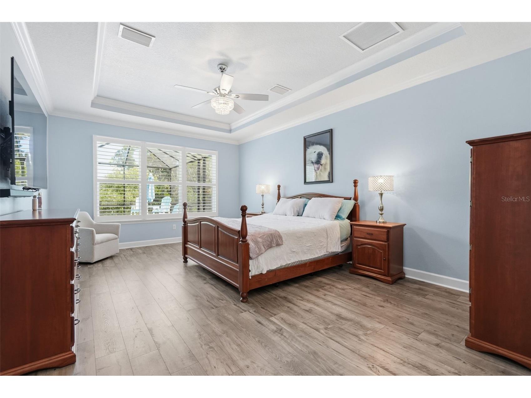 33805 Castaway Loop Wesley Chapel FL 33543 TB8502314 image18