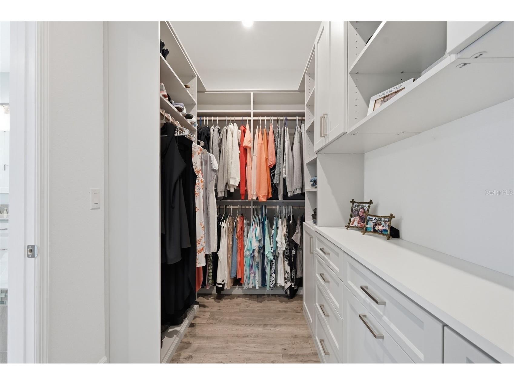 33805 Castaway Loop Wesley Chapel FL 33543 TB8502314 image21