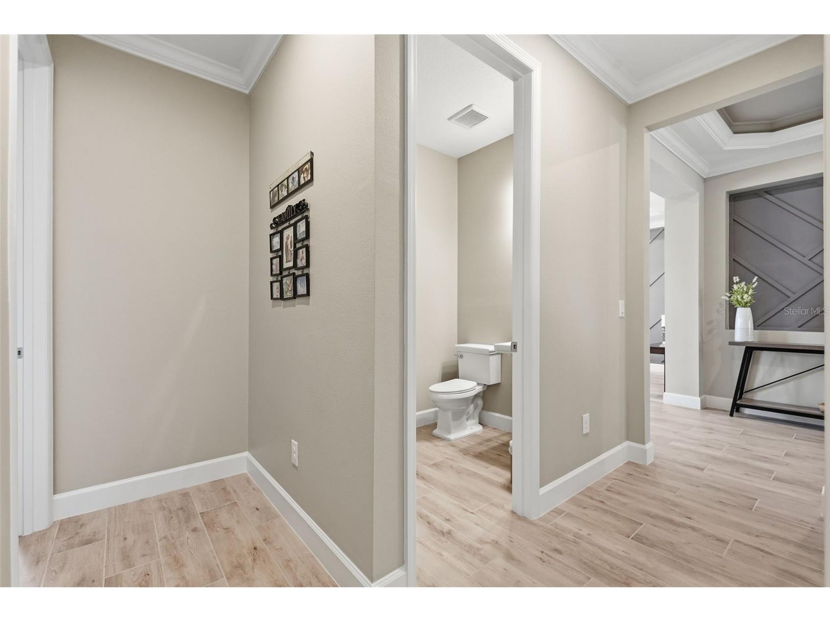 33805 Castaway Loop Wesley Chapel FL 33543 TB8502314 image26