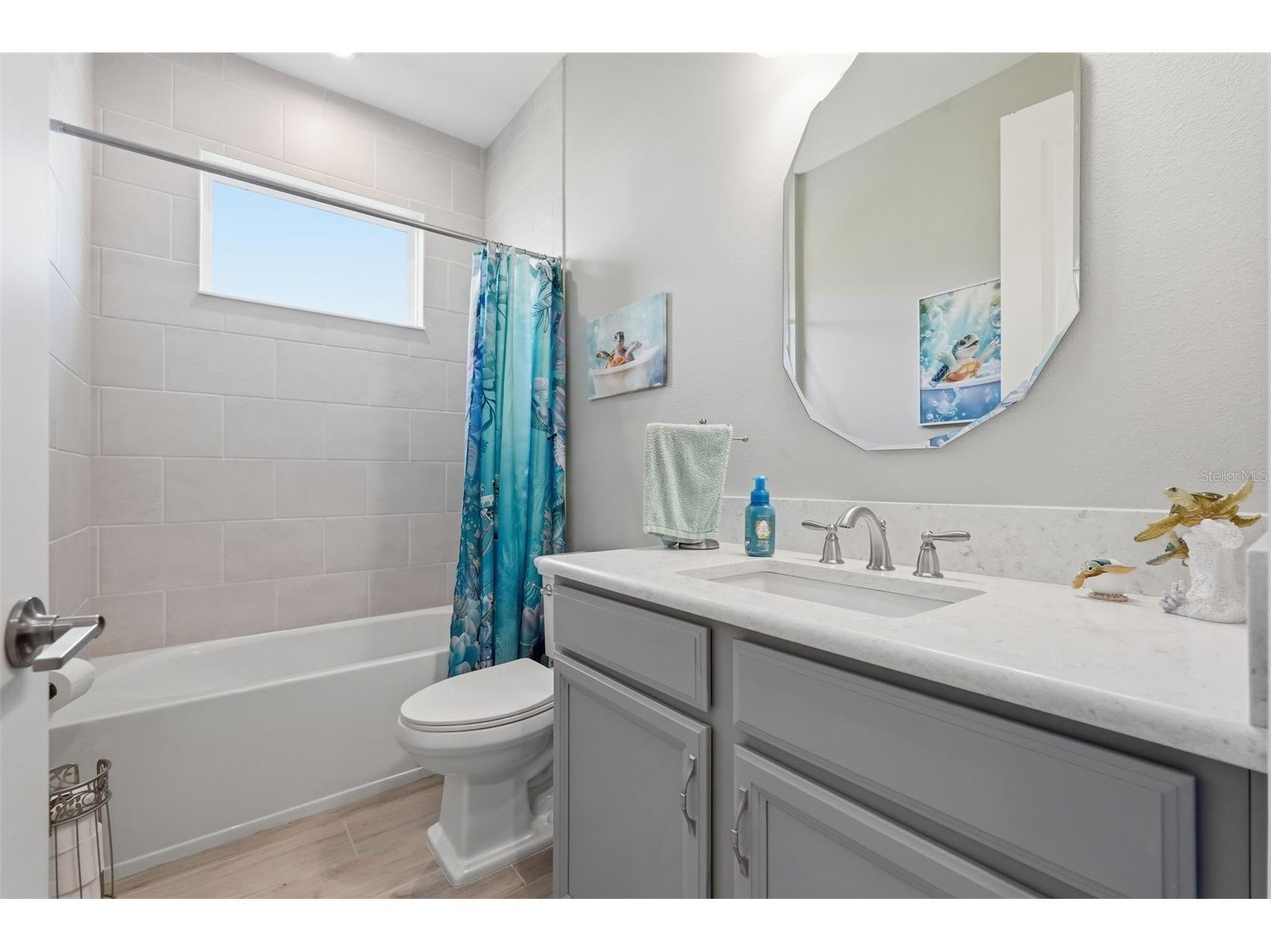 33805 Castaway Loop Wesley Chapel FL 33543 TB8502314 image28