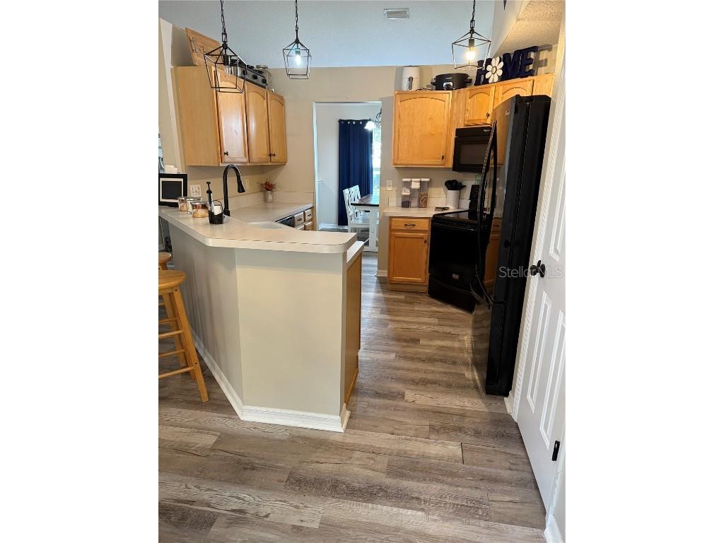 33809 Silver Pine Drive Leesburg FL 34788 G5105154 image12