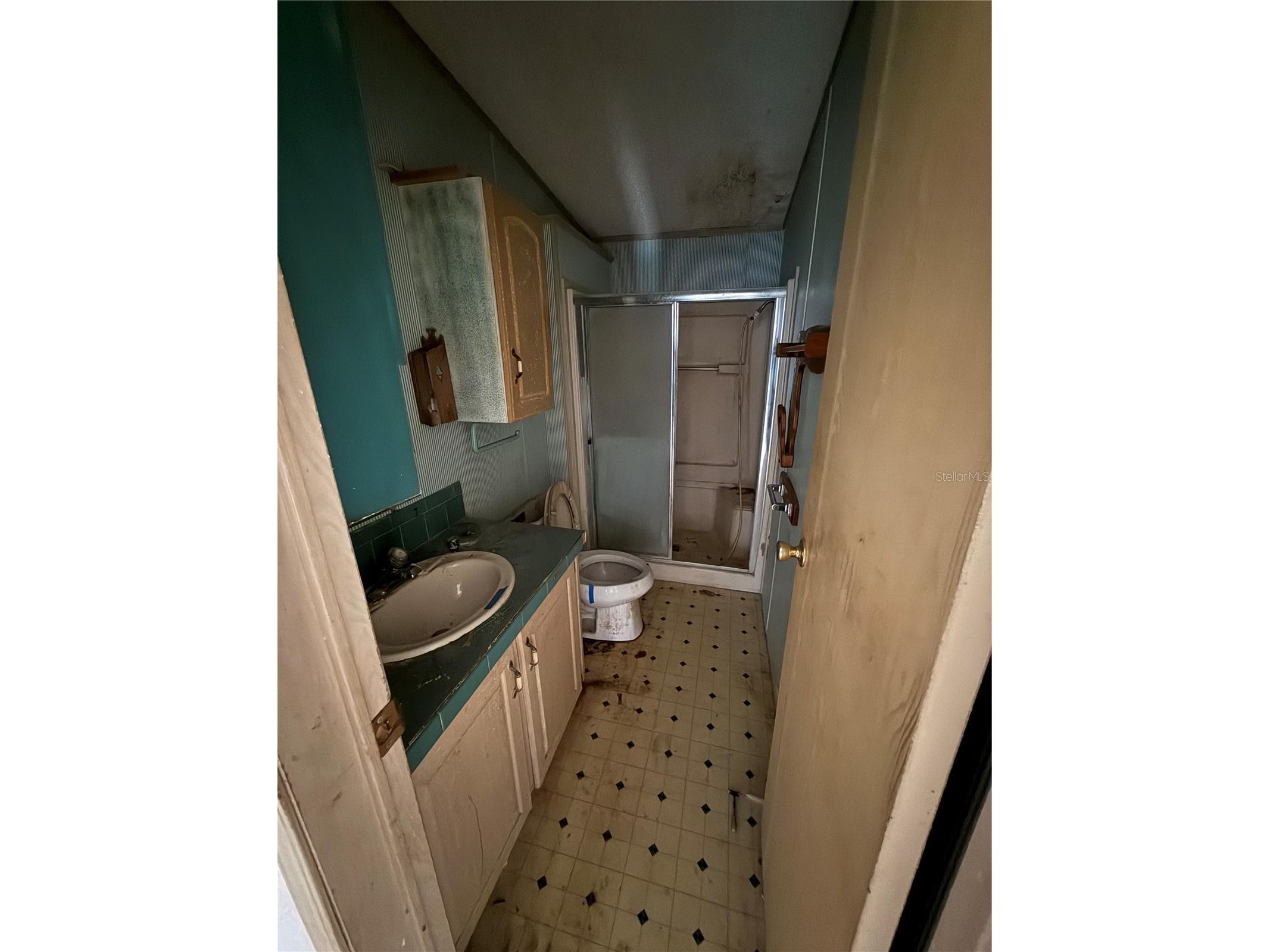 3381 SE 145th Place Summerfield FL 34491 OM717681 image14