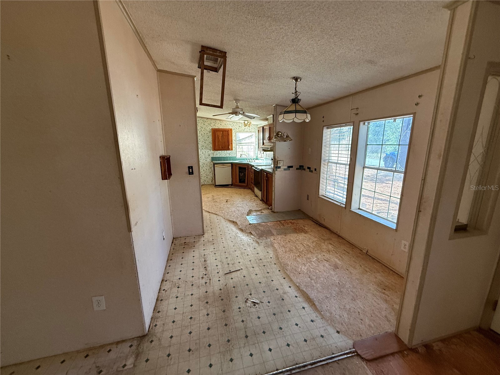 3381 SE 145th Place Summerfield FL 34491 OM717681 image4