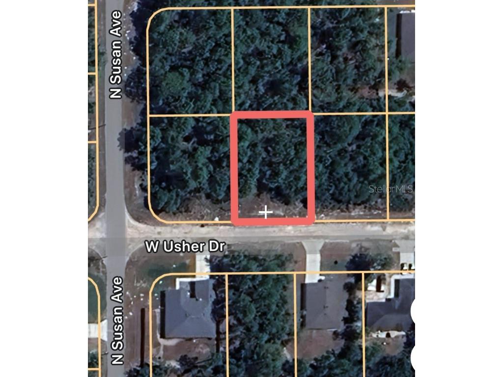 3381 W Usher Drive Citrus Springs FL 34433 OM703833 image1