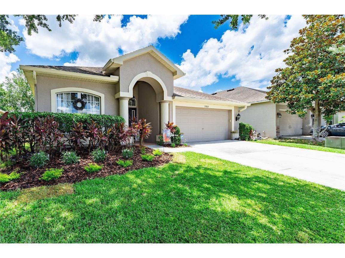 33810 Honeywood Avenue Wesley Chapel FL 33544 T3533174 image1