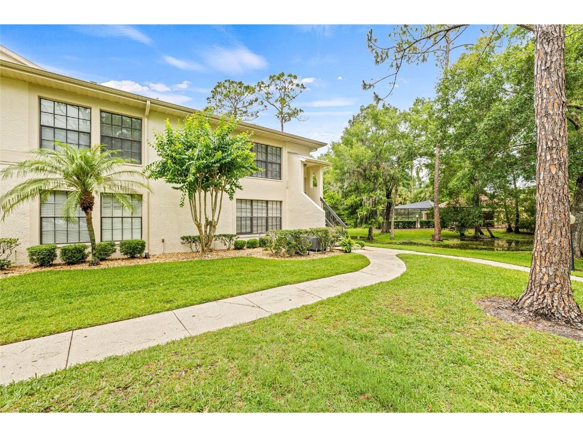 3382 Mermoor Drive #3201 Palm Harbor FL 34685 N6138878 image1