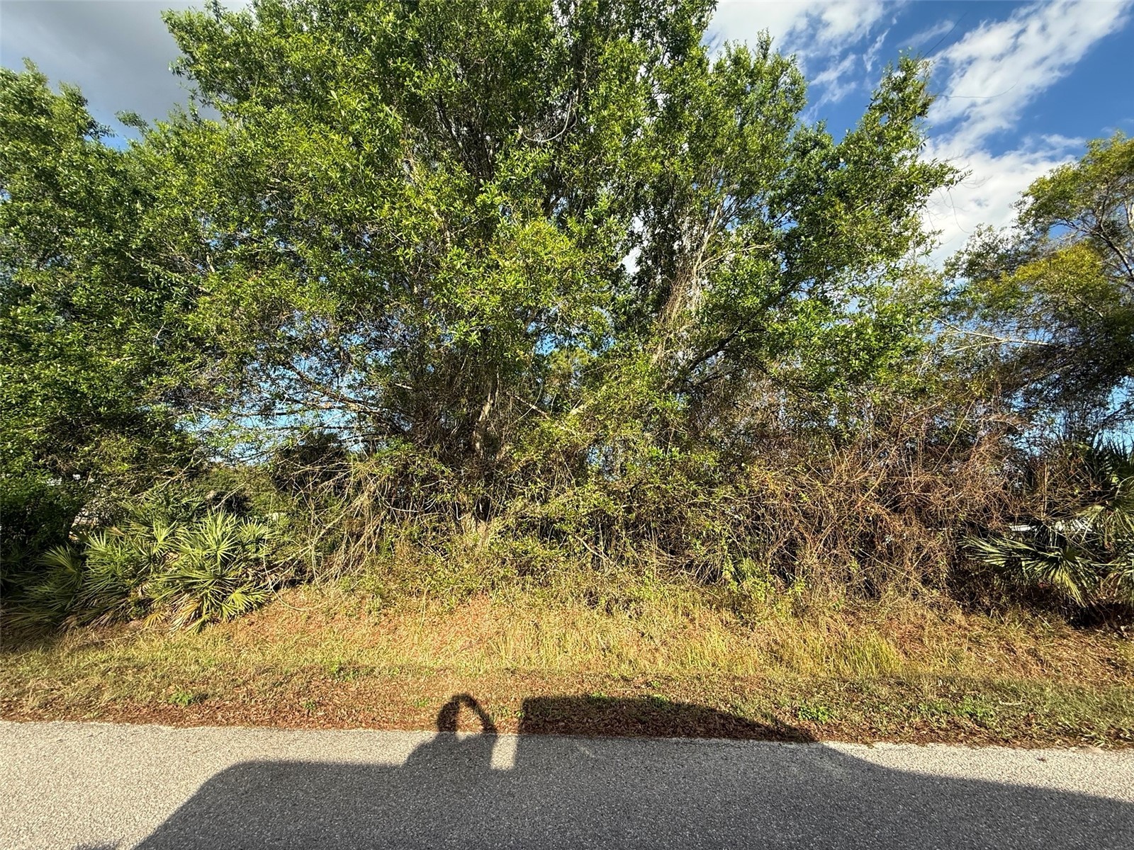 3382 NW 31st Avenue Okeechobee FL 34972 K4903301 image6