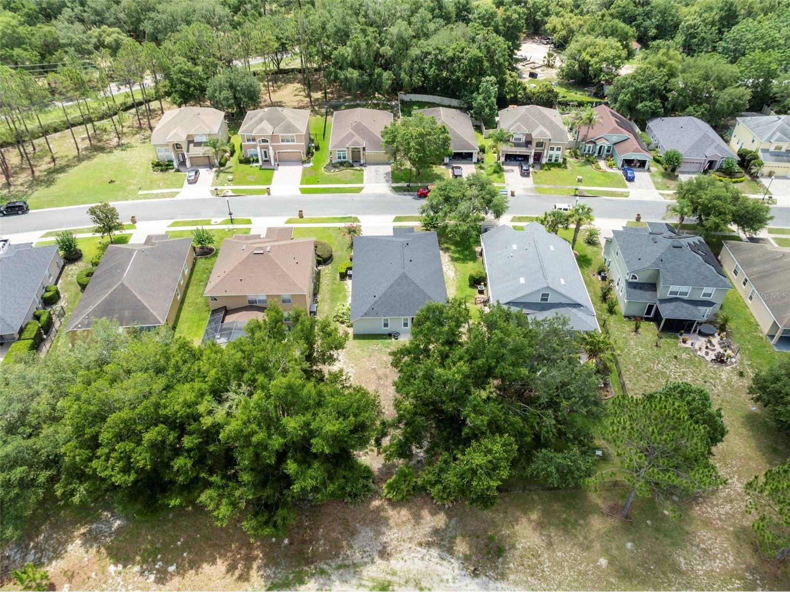 33827 Terragona Drive Sorrento FL 32776 O6417292 image27